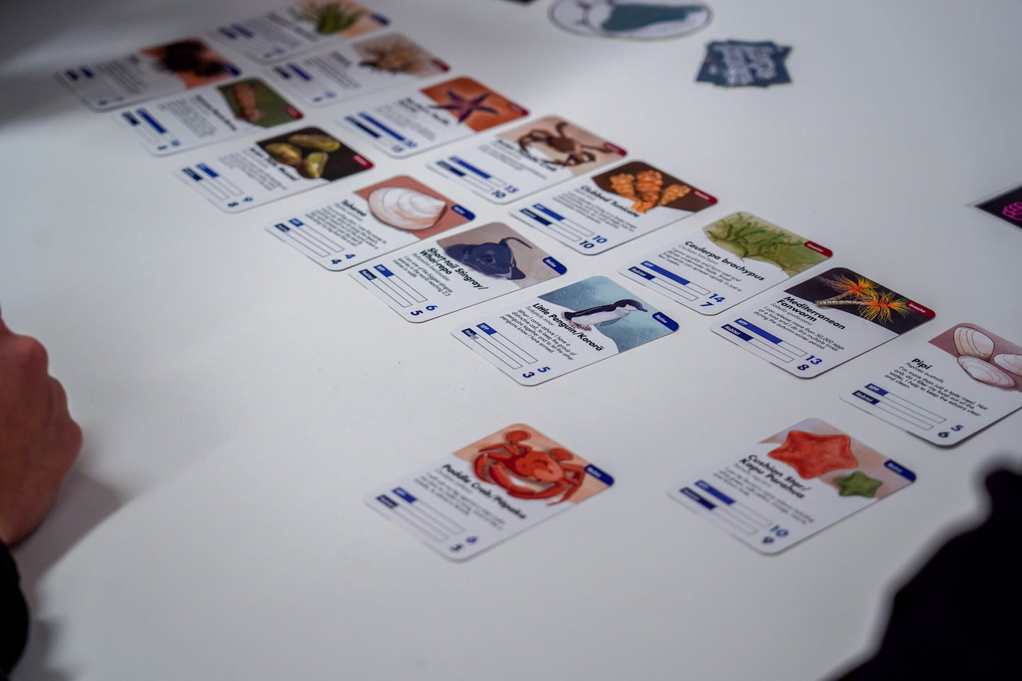 Marine Invaders- The Card Game Full English Version